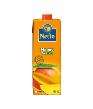 Netto Mango Nektarı
